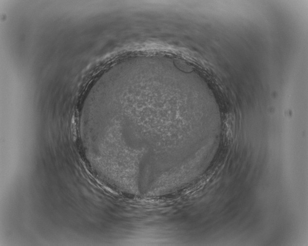 X0000085261493200703231702