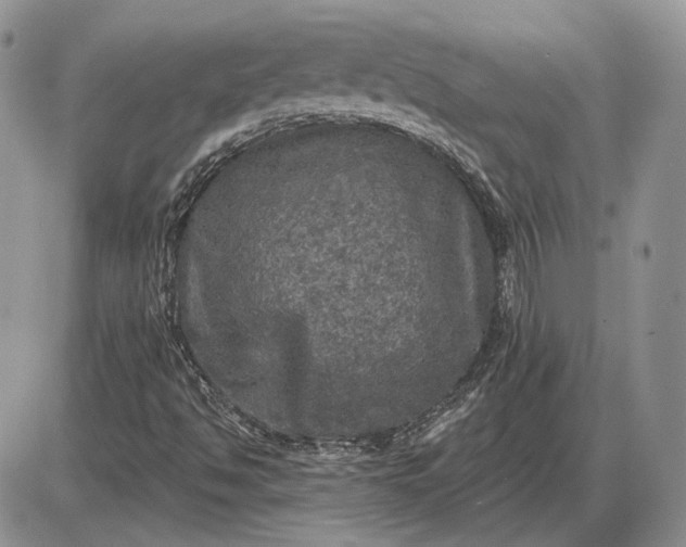 X0000085261494200703231702