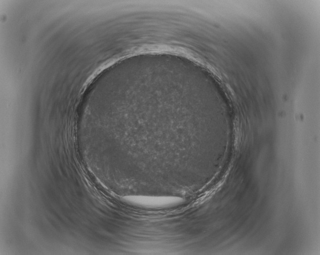 X0000085261497200703231702