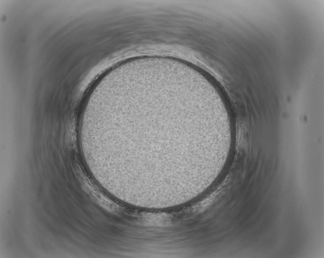 X0000085261498200703231702