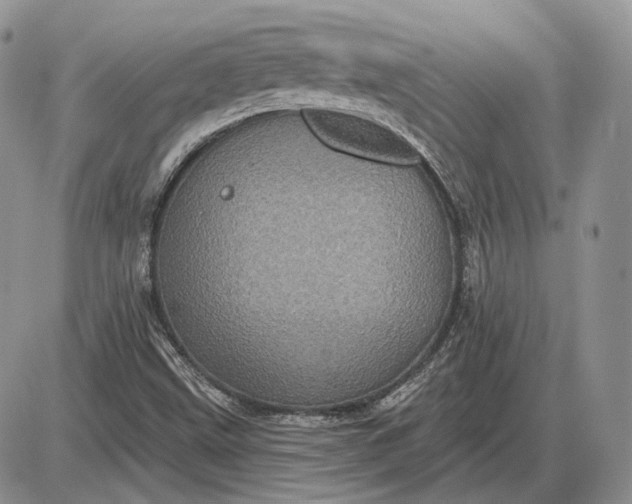 X0000085261499200703231702