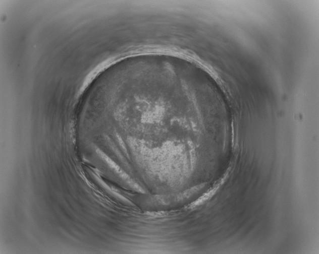 X0000085261501200703231702