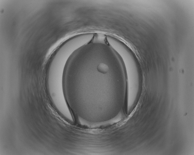 X0000085261502200703231702