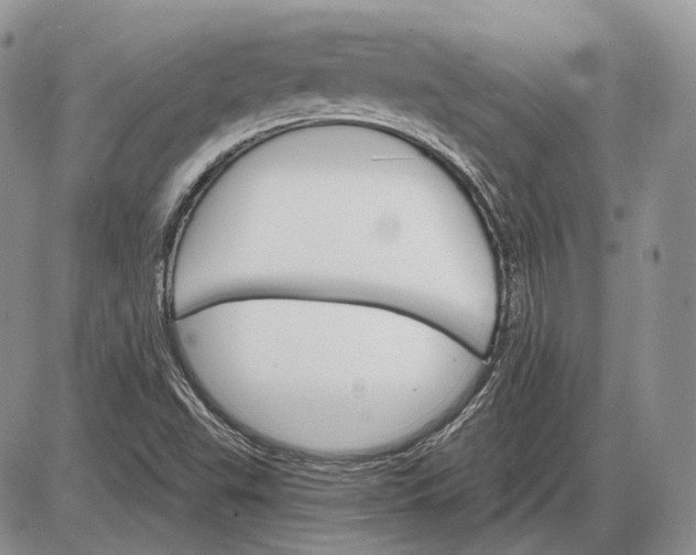 X0000085261503200703231702