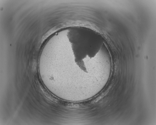 X0000085261505200703231702