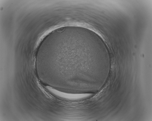 X0000085261507200703231702