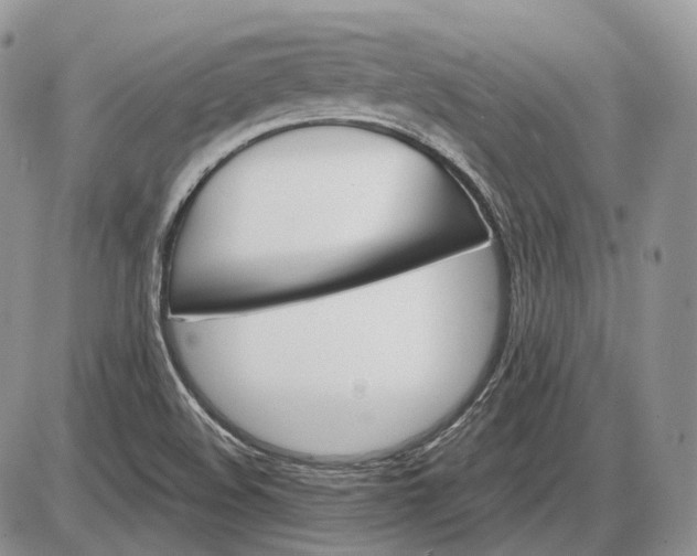 X0000085261508200703231702