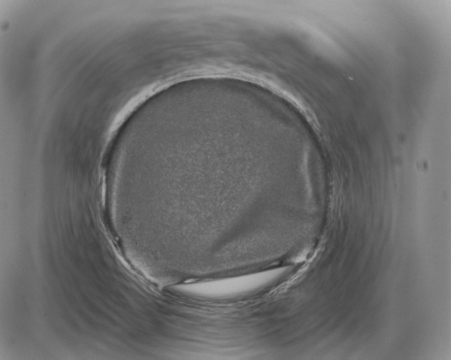 X0000085261509200703231702