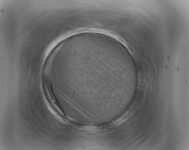 X0000085261511200703231702