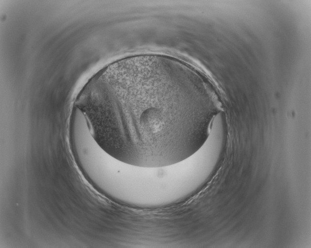 X0000085261512200703231702