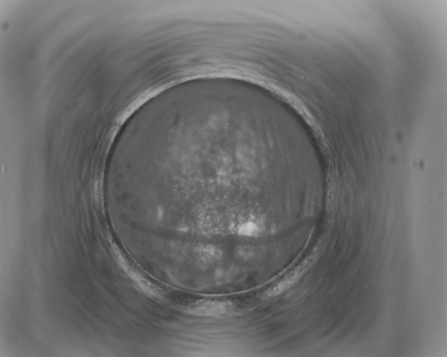 X0000085261513200703231702