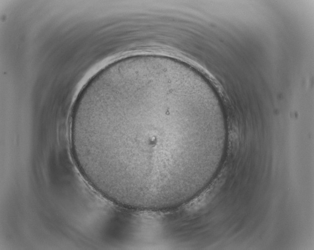 X0000085261514200703231702