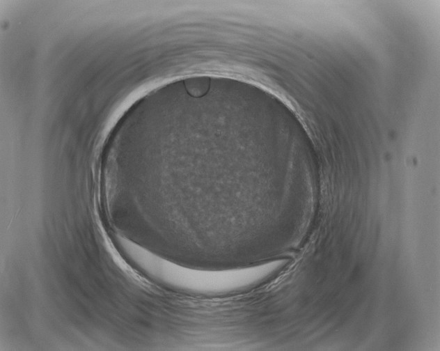 X0000085261515200703231702