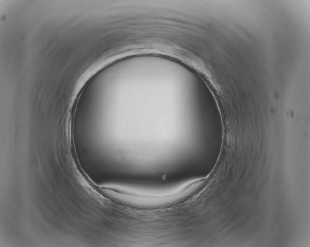 X0000085261516200703231702