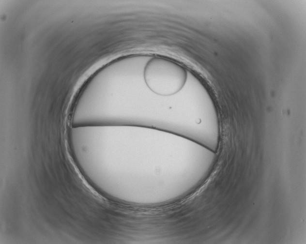 X0000085261517200703231702