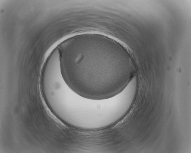 X0000085261518200703231702