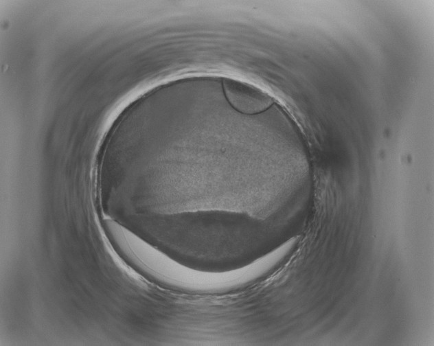 X0000085261519200703231702