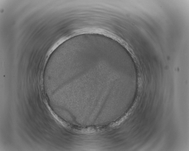 X0000085261521200703231702