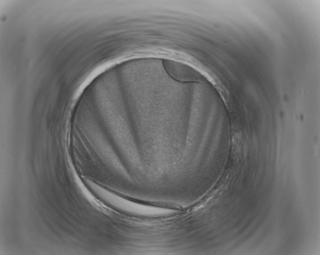 X0000085261523200703231702