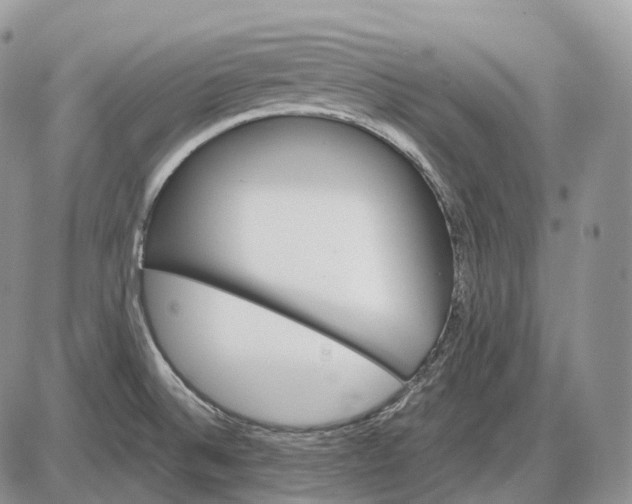 X0000085261524200703231702