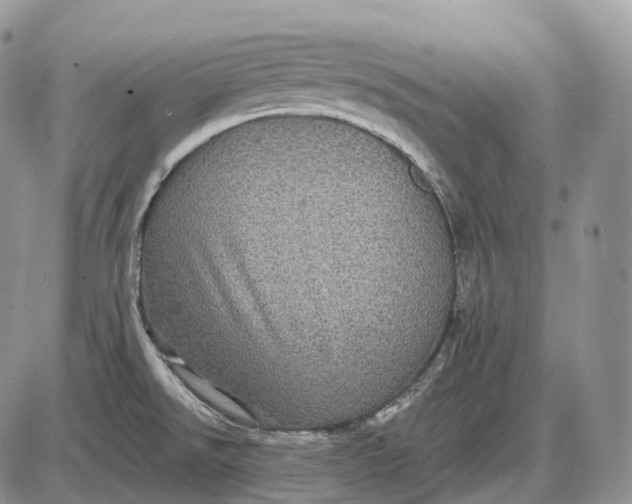 X0000085261526200703231702