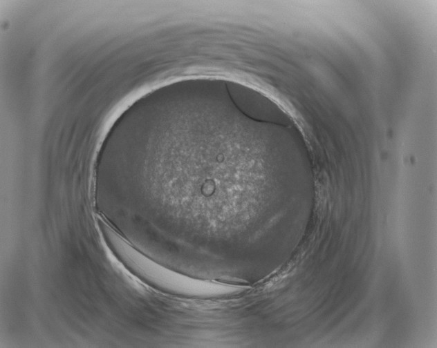 X0000085261527200703231702