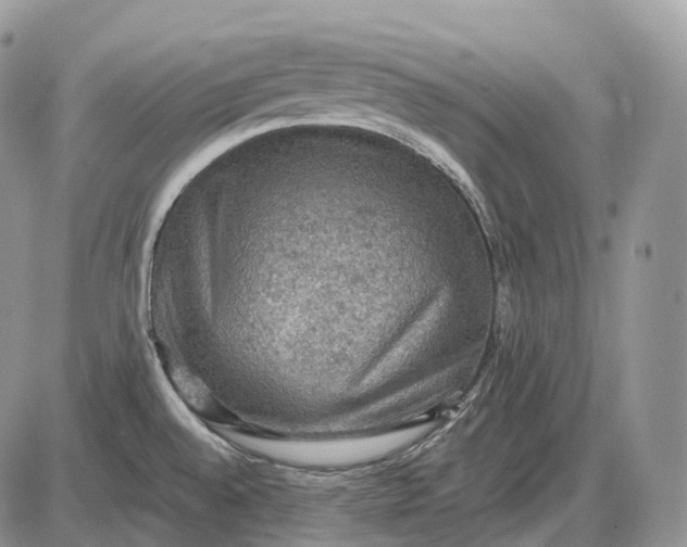 X0000085261528200703231702