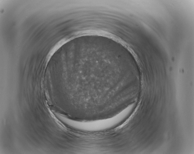 X0000085261529200703231702