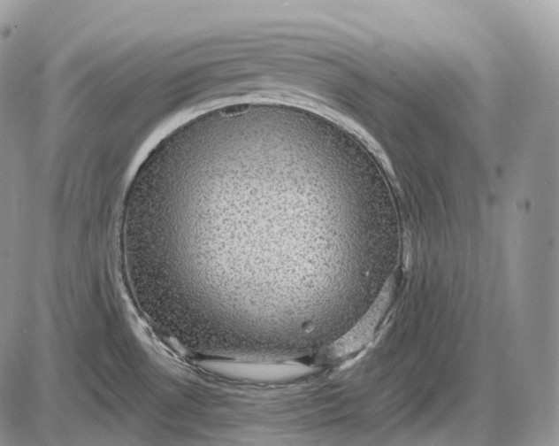 X0000085261530200703231702