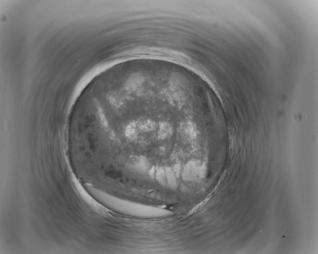 X0000085261531200703231702