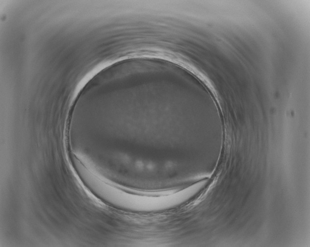 X0000085261533200703231702