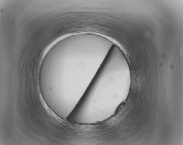 X0000085261534200703231702