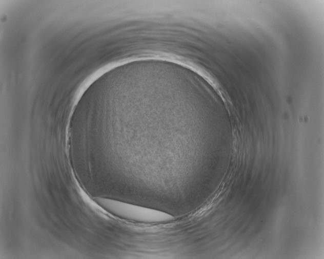 X0000085261535200703231702