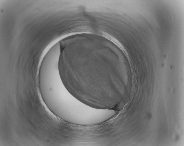 X0000085261536200703231702