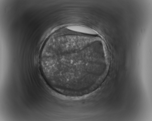 X0000085260002200703301843