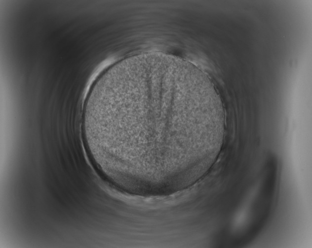 X0000085260003200703301843