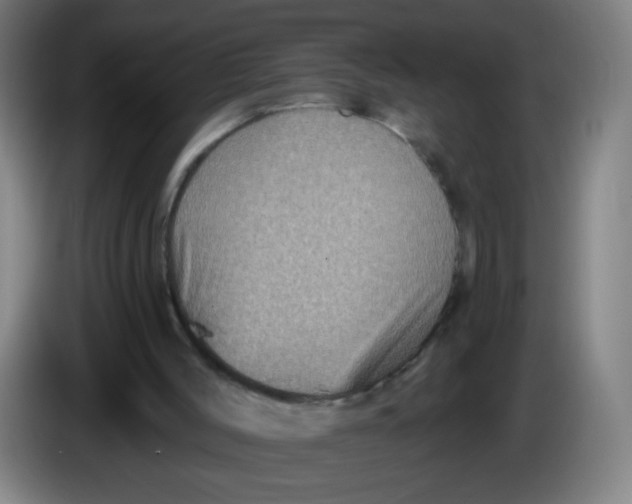 X0000085260004200703301843