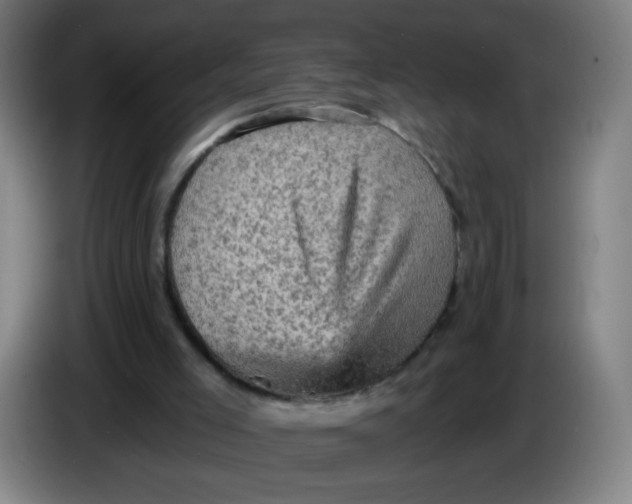 X0000085260005200703301843