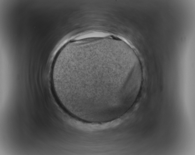 X0000085260007200703301843