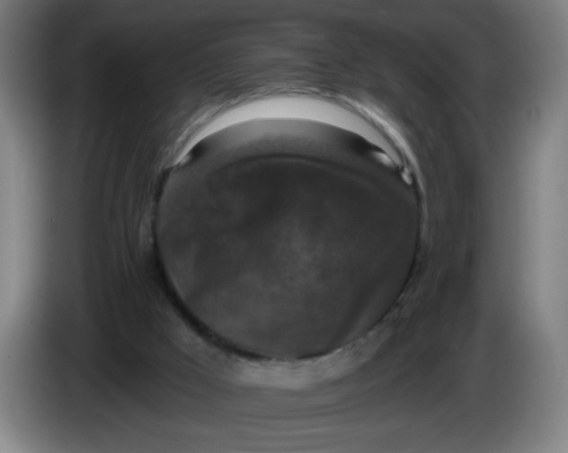 X0000085260009200703301842