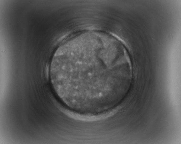 X0000085260014200703301842