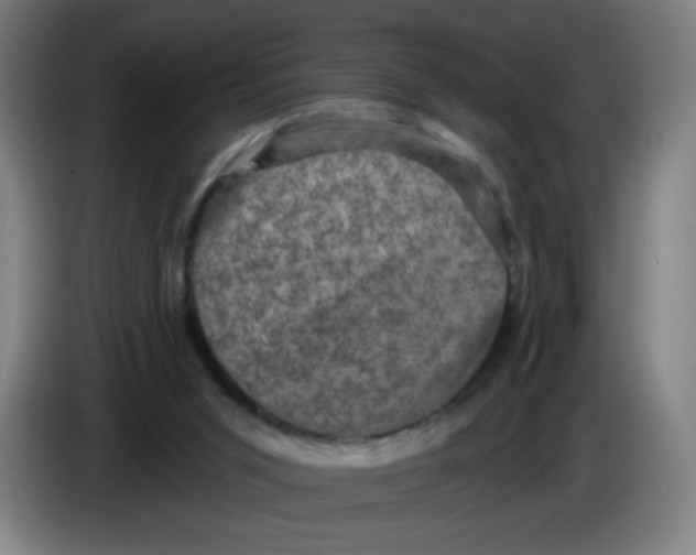 X0000085260015200703301842