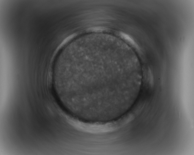 X0000085260016200703301842