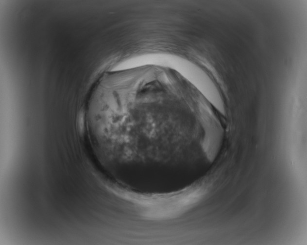 X0000085260019200703301842