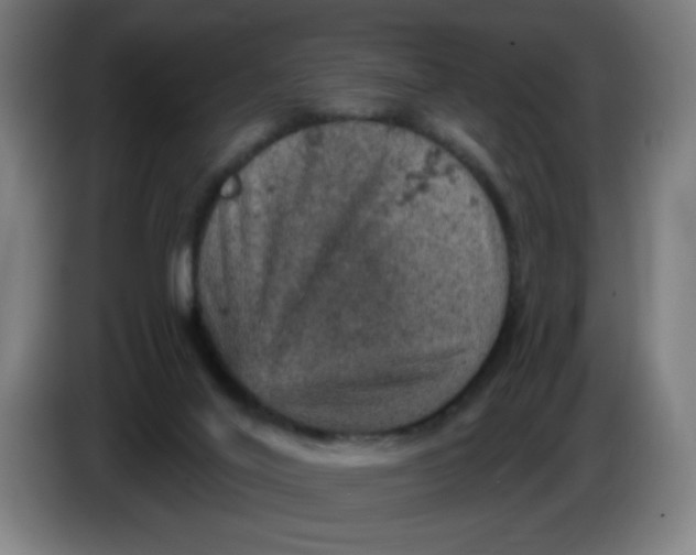 X0000085260020200703301842