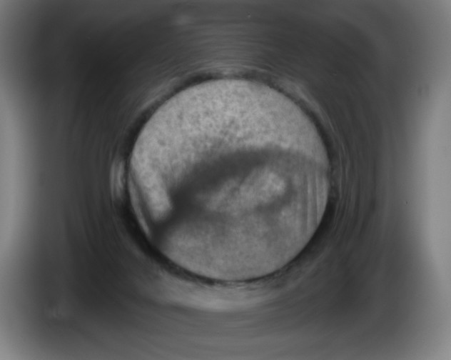 X0000085260024200703301842