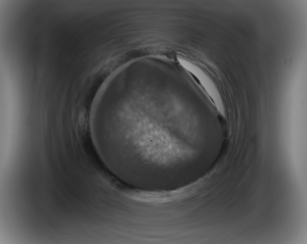 X0000085260029200703301842