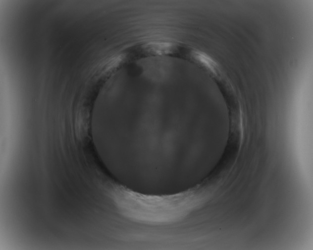 X0000085260030200703301842