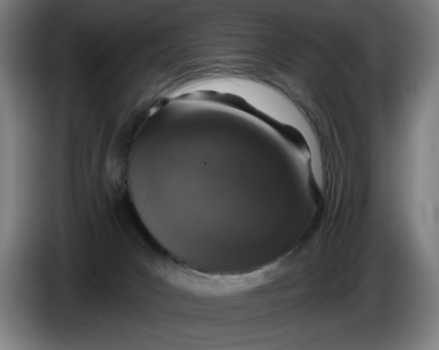 X0000085260031200703301842