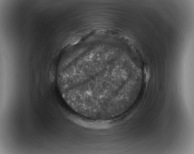 X0000085260032200703301842